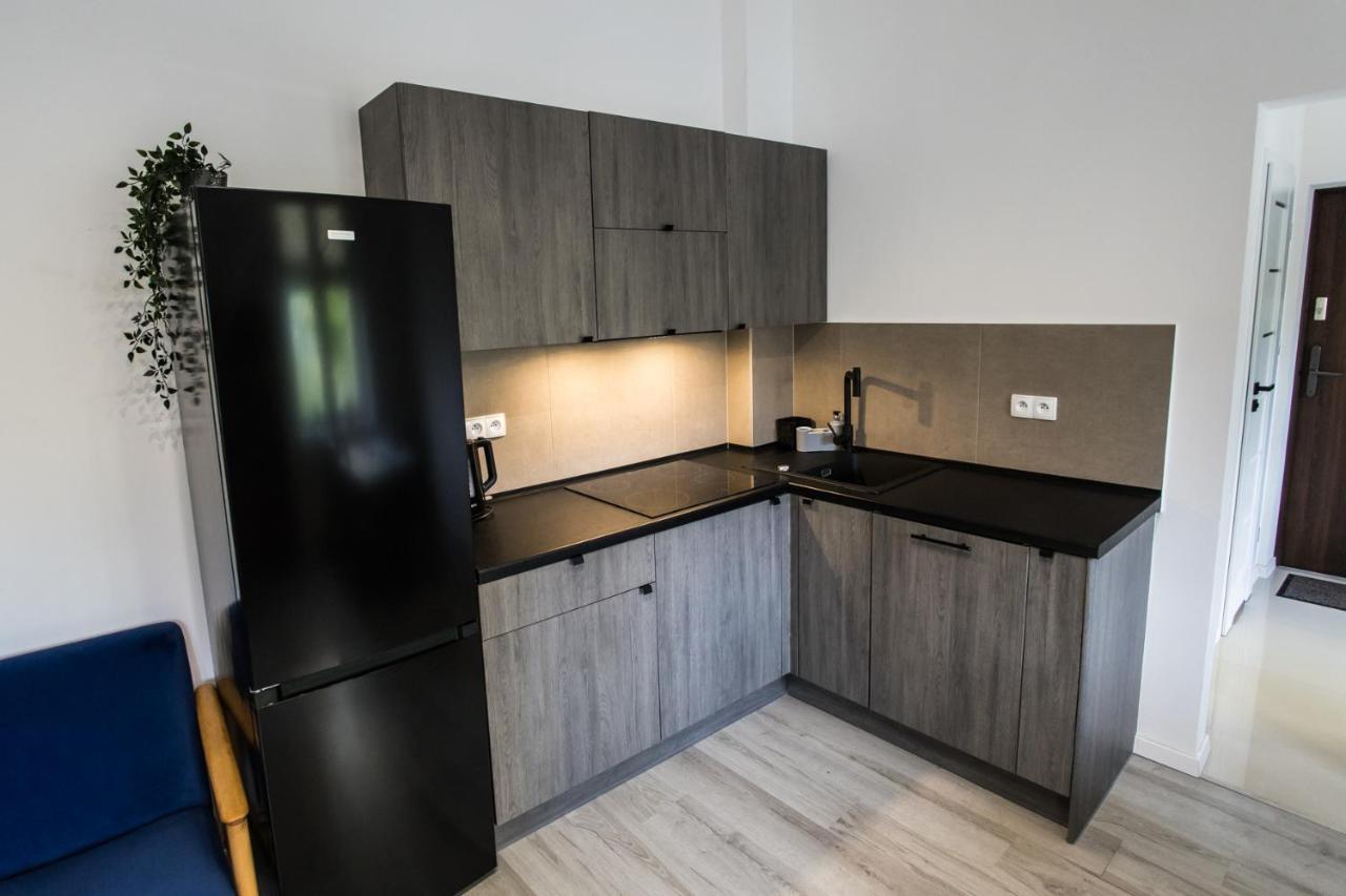 Stary Toruń Apartament Kochanowskiego מראה חיצוני תמונה
